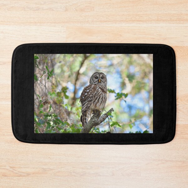 Item preview, Barred Owl Poster designed and sold by kalualepageh.