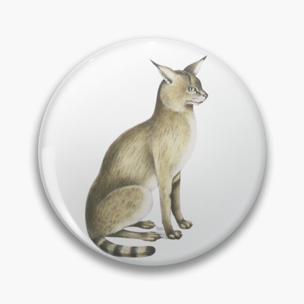 Item preview, Vintage1952,Allied Cat, Felis affinis- 1830 - 1834 designed and sold by Vintage1952.