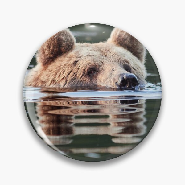Item preview, Don't you want to join me. Brown bear designed and sold by Jouko Lehto Photography.
