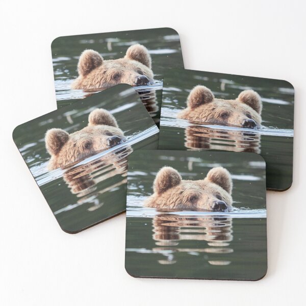 Item preview, Don't you want to join me. Brown bear designed and sold by Jouko Lehto Photography.