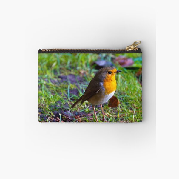 Item preview, Robin designed and sold by bidkev1.
