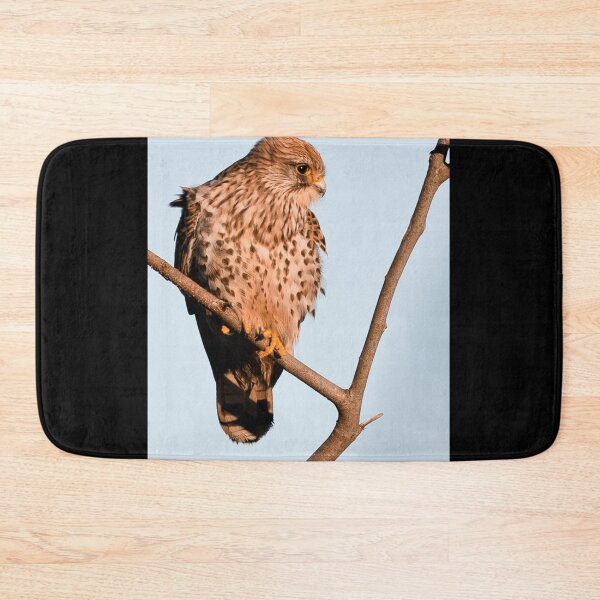 Item preview, Common Kestrel Poster designed and sold by kalualepageh.