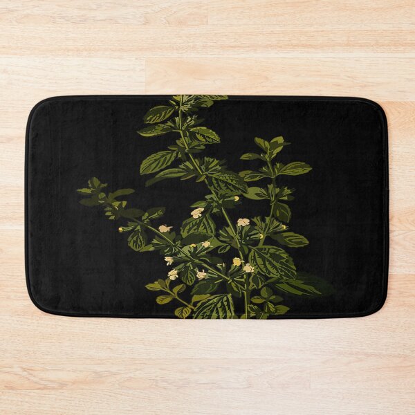 Item preview, Lemon balm Tea Herb Carmelite Water Officinalis designed and sold by BETSYCAROL.