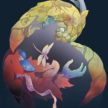Artwork thumbnail, Transformation by Rhea Ewing