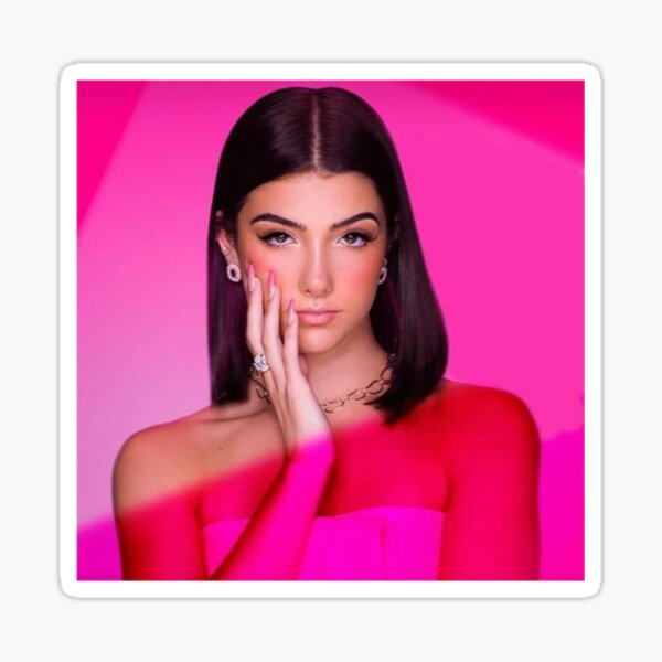"Charli Damelio Leaked " Sticker for Sale by HancoBamboo545 Redbubble