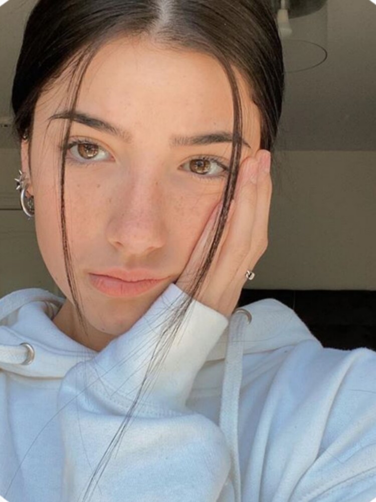 "Charli Leaked " Sticker for Sale by HancoBamboo545 | Redbubble