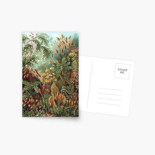 Item preview, Vintage Plants Decorative Nature Painting Illustration Artwork designed and sold by livianasgifts.