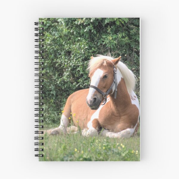 Item preview, Haflinger designed and sold by Mythos57.