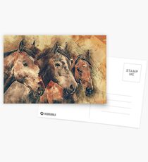 Pferde künstlerische Aquarellmalerei dekorativ Postkarten