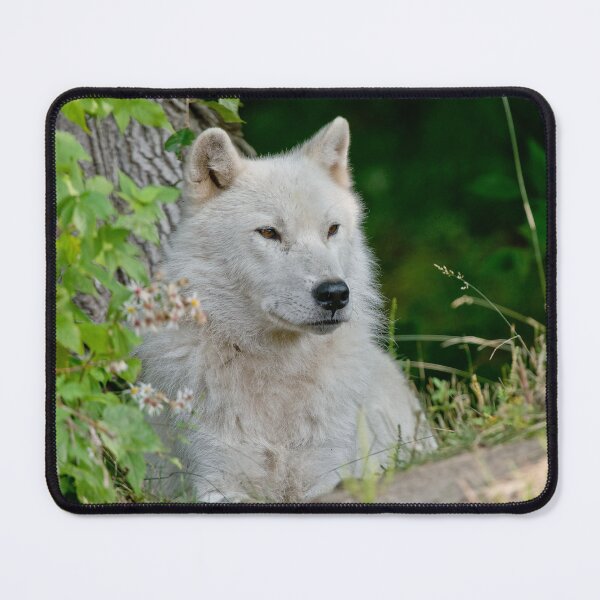 Item preview, Arctic Wolf designed and sold by Michael Cummings.