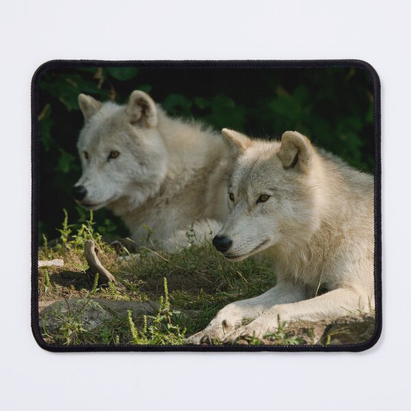 Item preview, Arctic Wolves designed and sold by Michael Cummings.