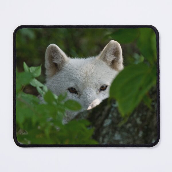 Item preview, Arctic Wolf designed and sold by Michael Cummings.