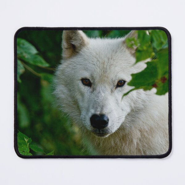 Item preview, Arctic Wolf designed and sold by Michael Cummings.