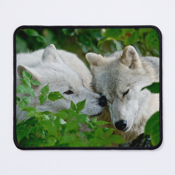 Item preview, Arctic Wolves designed and sold by Michael Cummings.