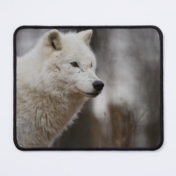 Item preview, Arctic Wolf designed and sold by Michael Cummings.