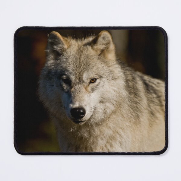 Item preview, Arctic Wolf designed and sold by Michael Cummings.