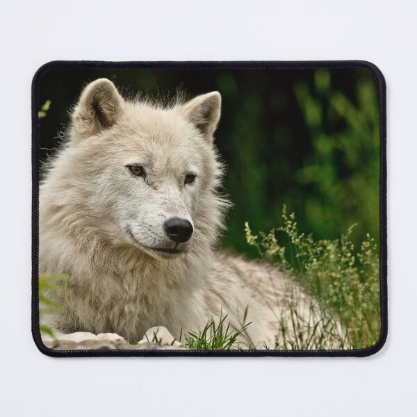 Item preview, Arctic Wolf designed and sold by Michael Cummings.