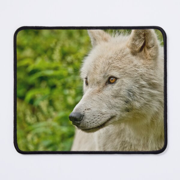Item preview, Arctic Wolf designed and sold by Michael Cummings.