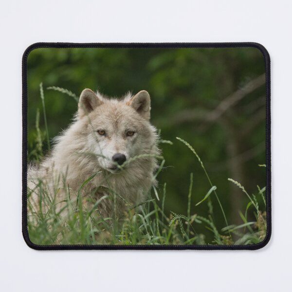 Item preview, Arctic Wolf designed and sold by Michael Cummings.