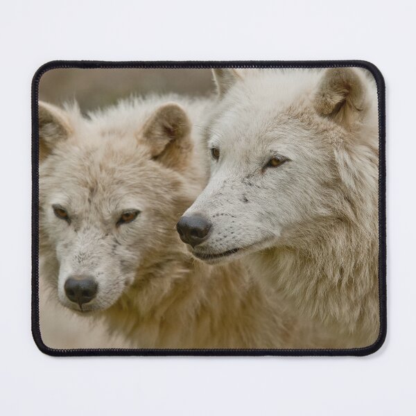 Item preview, Arctic Wolves designed and sold by Michael Cummings.