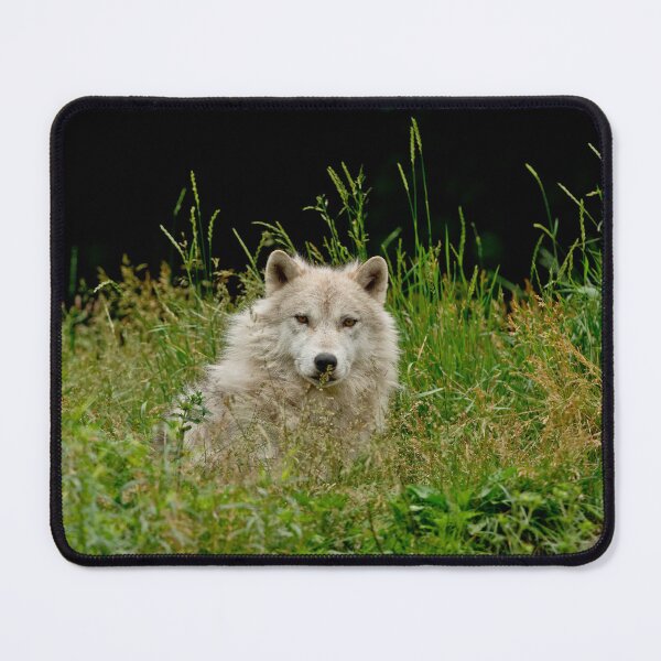 Item preview, Arctic Wolf designed and sold by Michael Cummings.