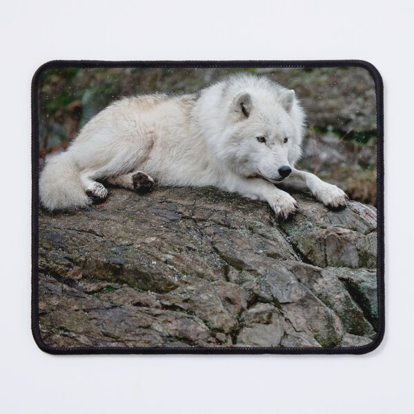 Item preview, Arctic Wolf designed and sold by Michael Cummings.