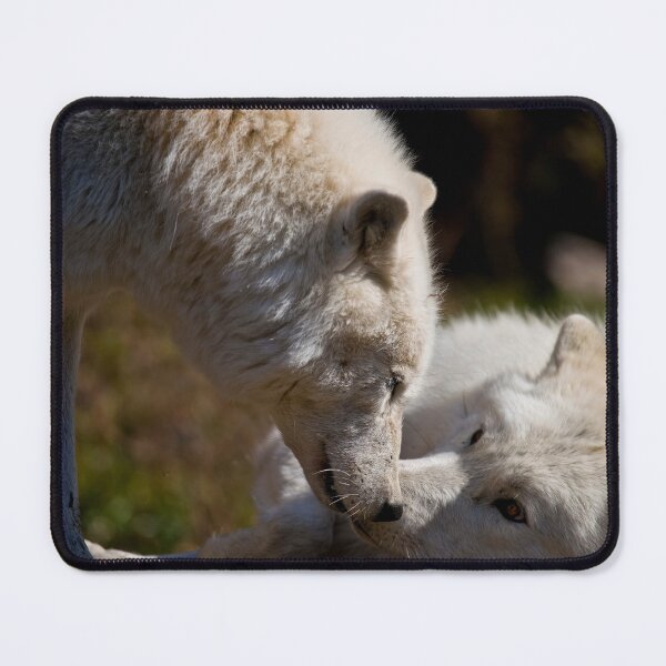 Item preview, Arctic Wolves designed and sold by Michael Cummings.