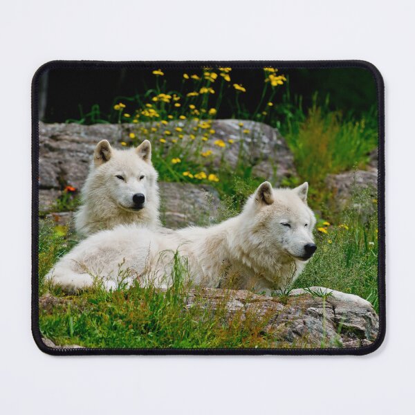 Item preview, Arctic Wolves designed and sold by Michael Cummings.
