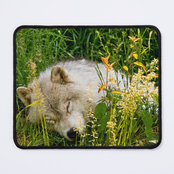 Item preview, Arctic Wolf designed and sold by Michael Cummings.