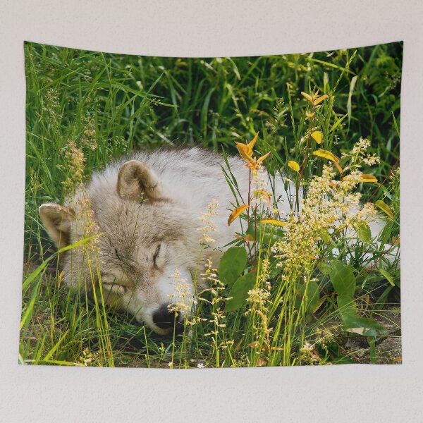 Item preview, Arctic Wolf designed and sold by Michael Cummings.