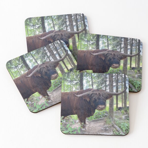 Item preview, Scottish Highland Cattle Bull 3396 designed and sold by SaarelaHighland.
