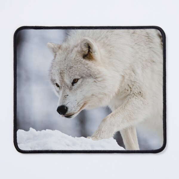 Item preview, Arctic Wolf designed and sold by Michael Cummings.