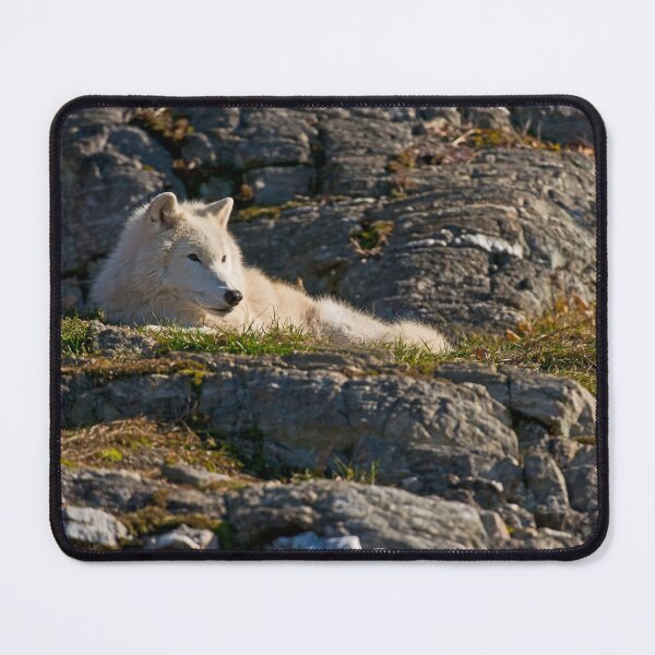 Item preview, Arctic Wolf designed and sold by Michael Cummings.