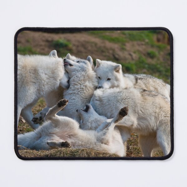Item preview, Arctic Wolves Playing designed and sold by Michael Cummings.