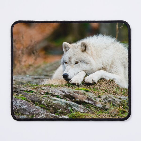Item preview, Arctic Wolf designed and sold by Michael Cummings.