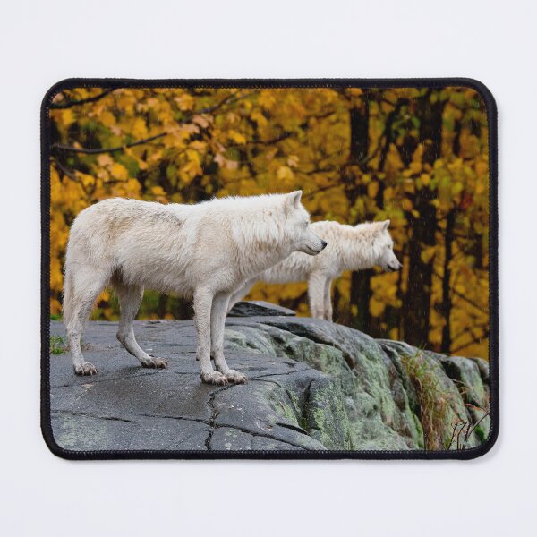 Item preview, Arctic Wolves designed and sold by Michael Cummings.