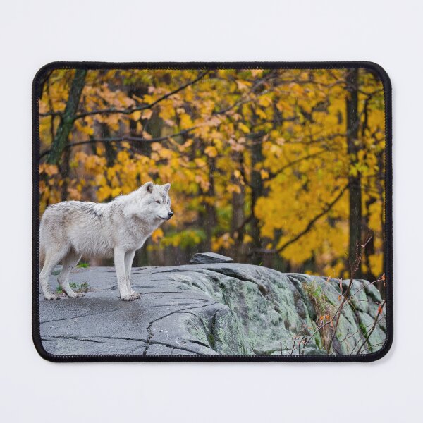 Item preview, Arctic Wolf designed and sold by Michael Cummings.