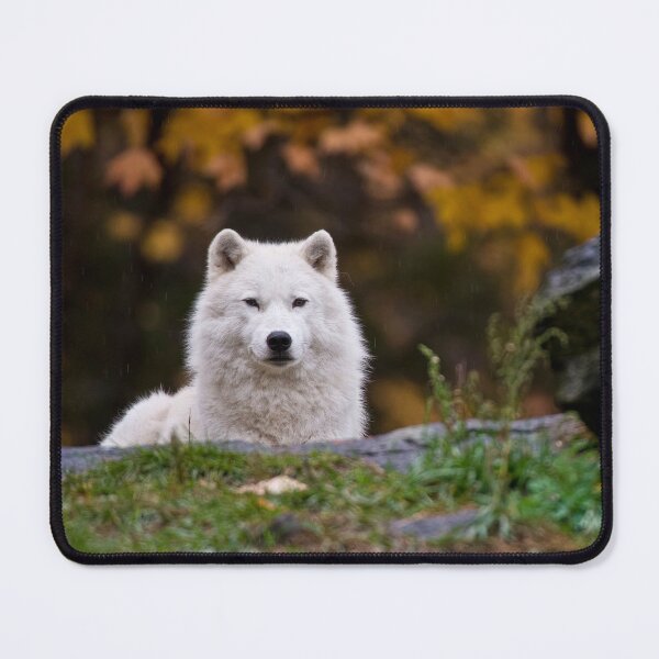 Item preview, Arctic Wolf designed and sold by Michael Cummings.