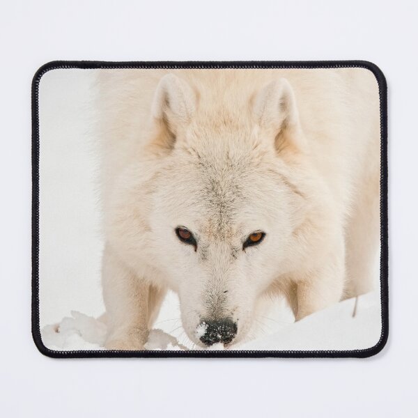 Item preview, Arctic Wolf designed and sold by Michael Cummings.