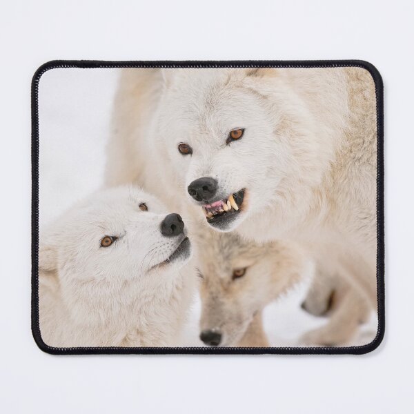 Item preview, Arctic Wolves designed and sold by Michael Cummings.