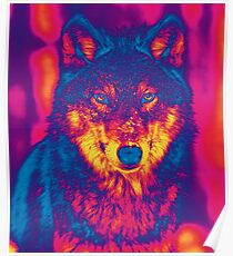 Trippy Wolf Poster