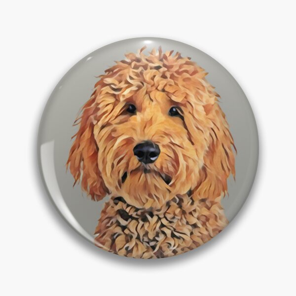 Aperçu de l'œuvre Autocollant Goldendoodle rouge créée et vendue par MameDesign.