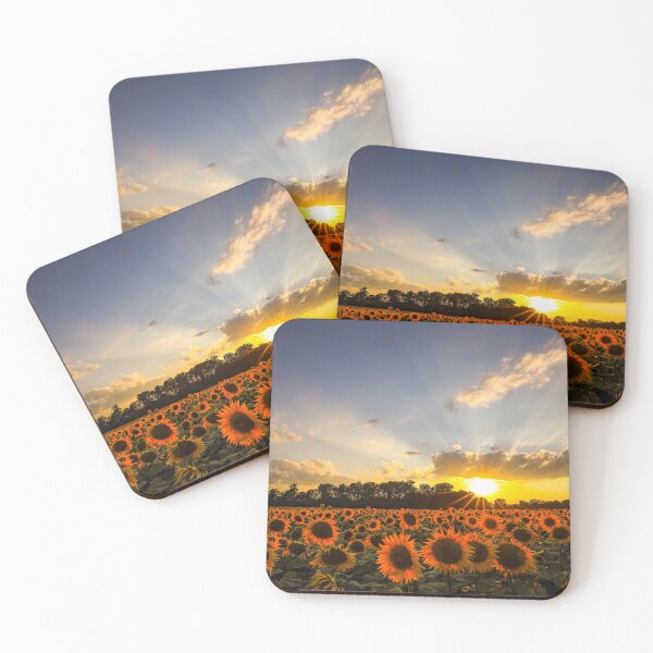 Item preview, sunflower field designed and sold by Pietschi2022.