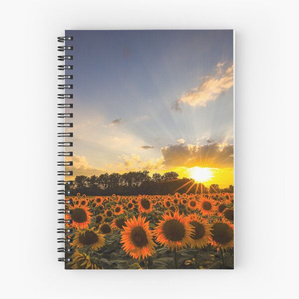 Item preview, sunflower field designed and sold by Pietschi2022.