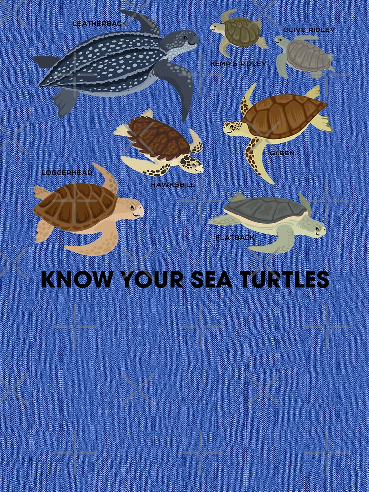 Know Your Sea Turtles by PepomintNarwhal