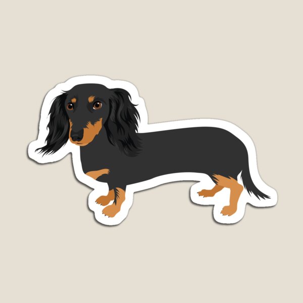 Item preview, Curly Black and Tan Dachshund designed and sold by MameDesign.
