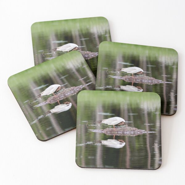 Item preview, What is down there. Black-headed gull designed and sold by Jouko Lehto Photography.