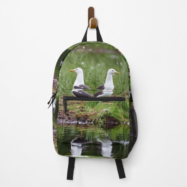 Item preview, The pair. Lesser black-backed gull designed and sold by Jouko Lehto Photography.