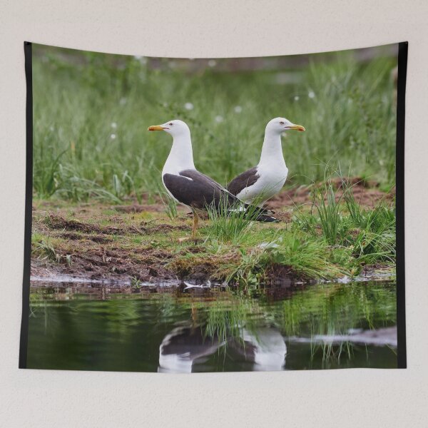 Item preview, The pair. Lesser black-backed gull designed and sold by Jouko Lehto Photography.