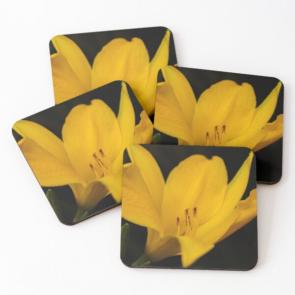 Item preview, SURRENDER designed and sold by Michelle Lee Blatt.